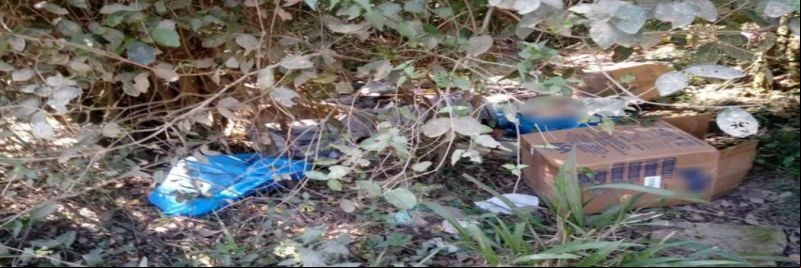 Corpos estavam em caixa de papelão e sacos plásticos em matagal em Novo Hamburgo