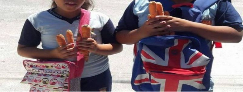 Crianças receberam cenouras