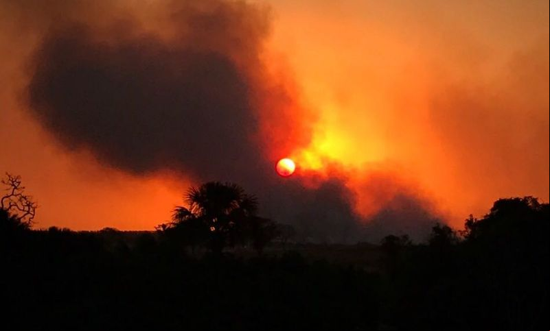 Bombeiros ainda combatem focos de incêndio na Reserva Ecológica do Panga em Uberlândia