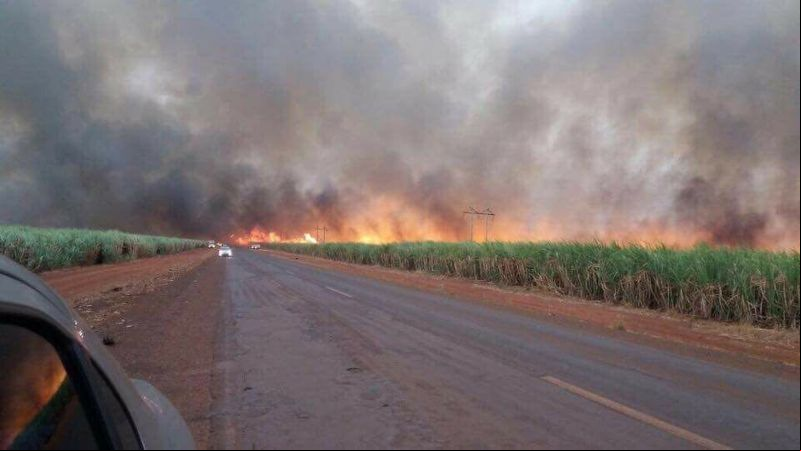 Incêndio é controlado em canaviais entre Uberaba e Conceição das Alagoas